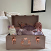 Small Metal Storage Trunks