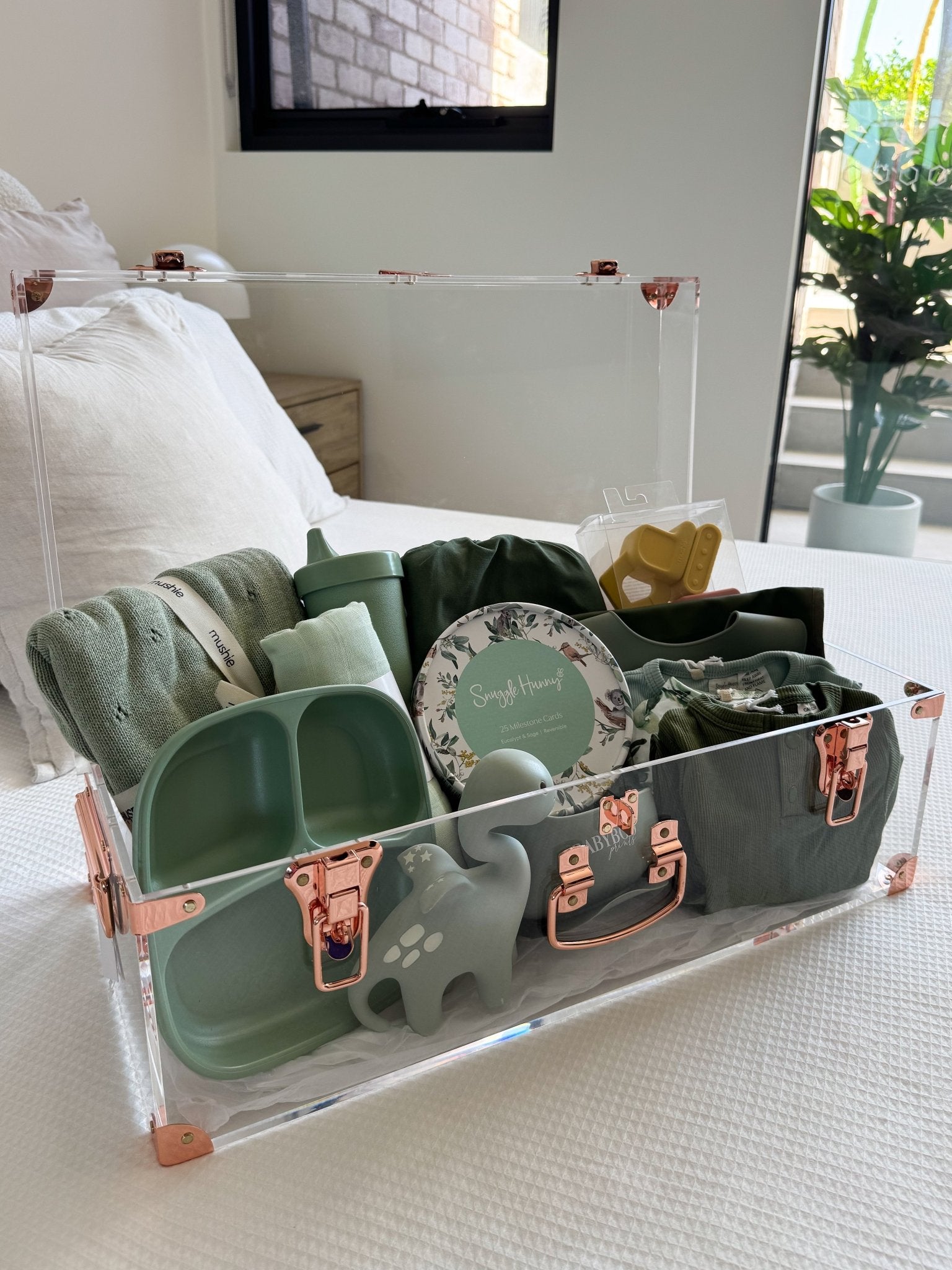 Acrylic Storage Trunks - BabyBoo Prints