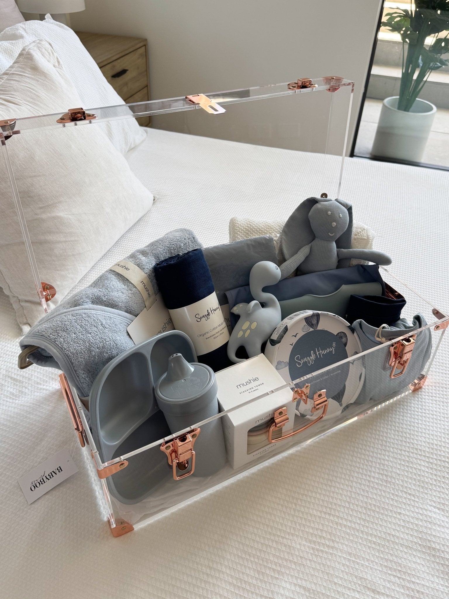 Acrylic Storage Trunks - BabyBoo Prints