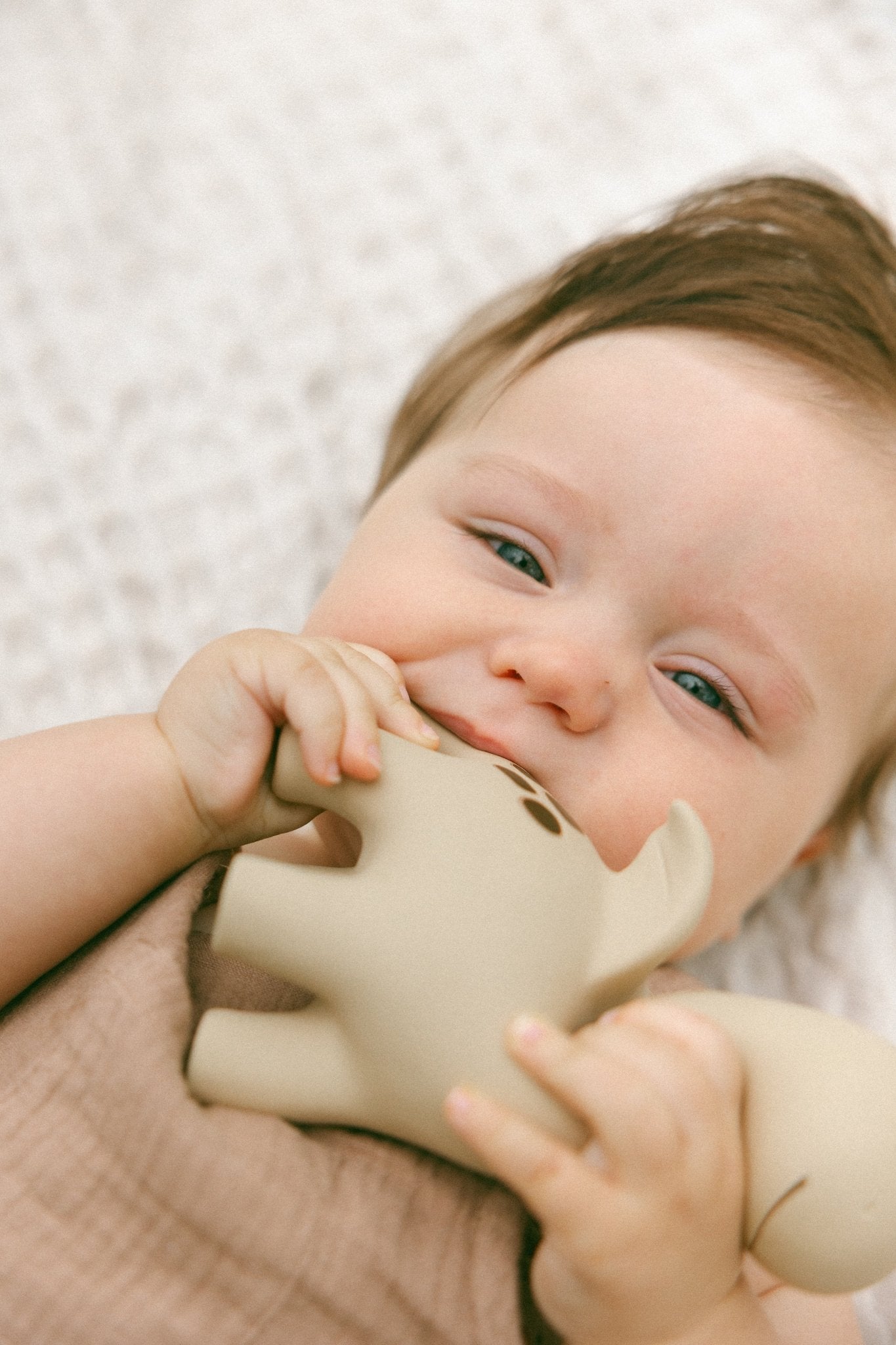 Diplo the Dino - Dragon Teether - BabyBoo Prints