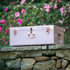 Large Metal Storage Trunks - BabyBoo Prints