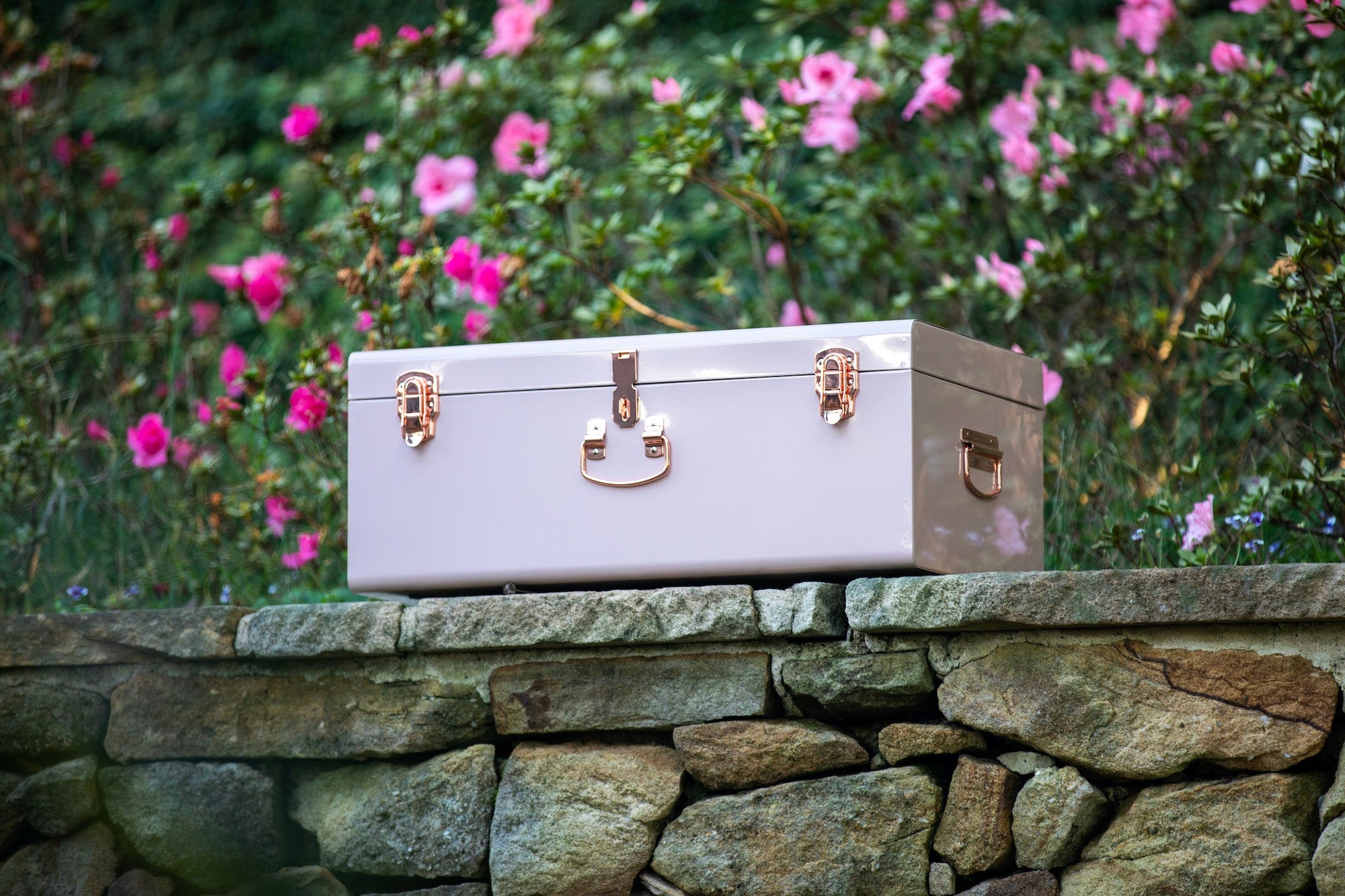 Large Metal Storage Trunks - BabyBoo Prints