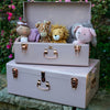 Large Metal Storage Trunks - BabyBoo Prints