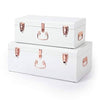 Large Metal Storage Trunks - BabyBoo Prints