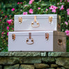 Large Metal Storage Trunks - BabyBoo Prints
