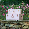 Large Metal Storage Trunks - BabyBoo Prints