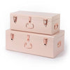 Large Metal Storage Trunks - BabyBoo Prints