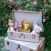 Large Metal Storage Trunks - BabyBoo Prints