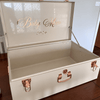 Large Metal Storage Trunks - BabyBoo Prints