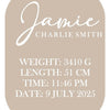 Personalised Baby Plaque - BabyBoo Prints