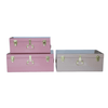 PRE - ORDER - Metal Storage Trunks - BabyBoo Prints
