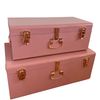 Regular Metal Storage Trunks - BabyBoo Prints