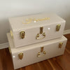 Regular Metal Storage Trunks - BabyBoo Prints