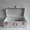 Regular Metal Storage Trunks - BabyBoo Prints