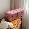 Regular Metal Storage Trunks - BabyBoo Prints
