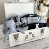 Small Metal Storage Trunks - BabyBoo Prints